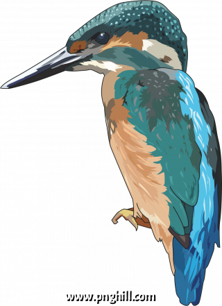 Png Clipart