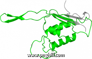 Clip Art Png 