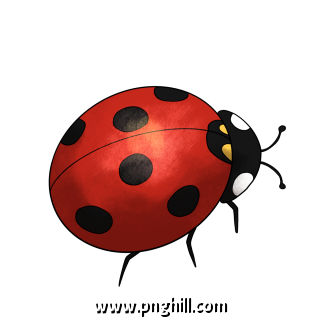 Cartoon Insect Ladybug Clipart Free PNG Download