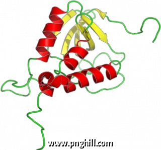 Png Image Illustration Clipart