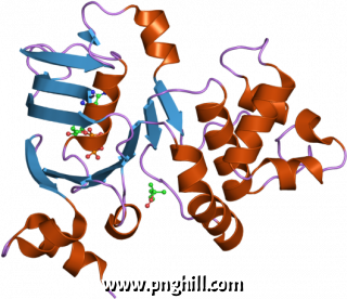 Pdb 2ffa Ebi Illustration Clipart