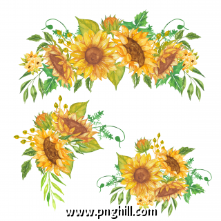 Set Of Floral Arrangement Watercolor Sunflower Yellow