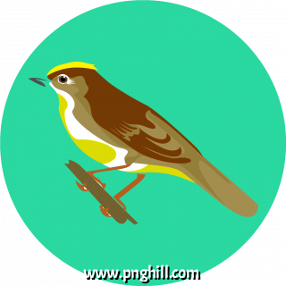 Illustration Clipart