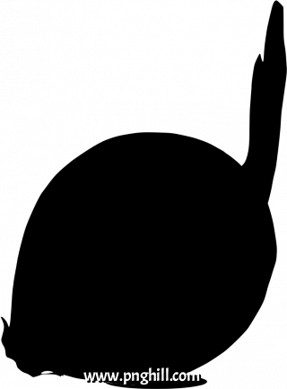  Png Illustration Clipart