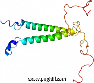 Protein Tsc22d3 Pdb 1dip Clipart