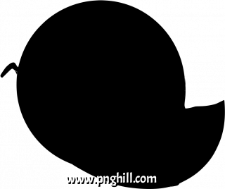  Png Clipart
