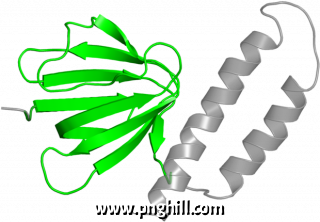 Illustration Clipart