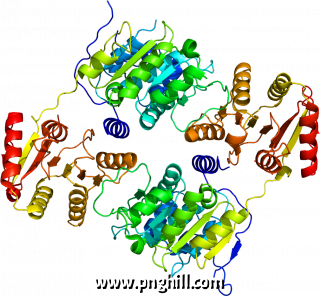 Protein Ddx19b Pdb 3ews Clipart