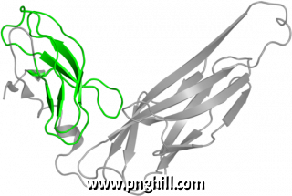 Illustration Clipart