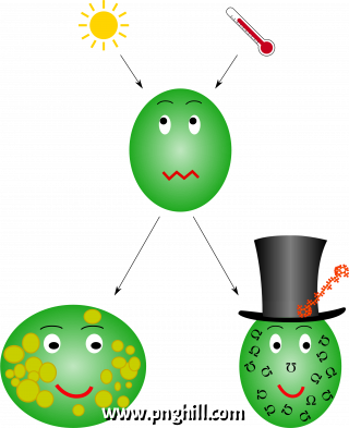 4-6 Clipart