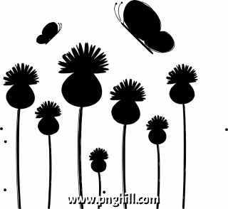  Png Illustration Clipart