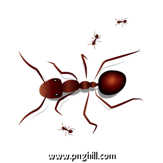 Lifelike Insect Arthropod Ant Free PNG Download