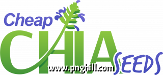 Clip Art Png 