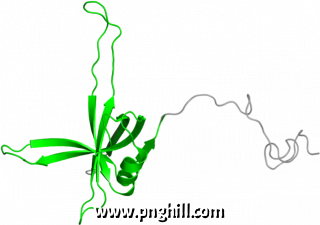 Illustration Clipart